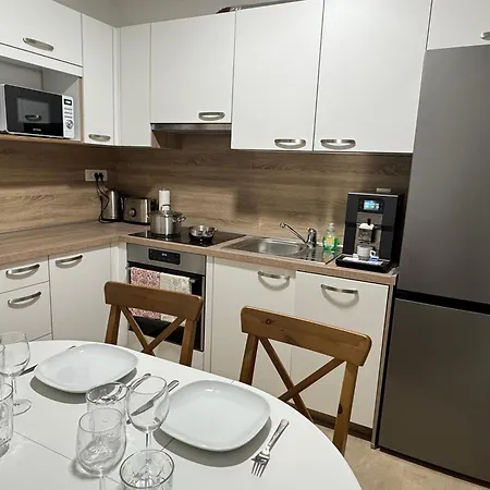 The Old Bevc House Apartment Ljubljana